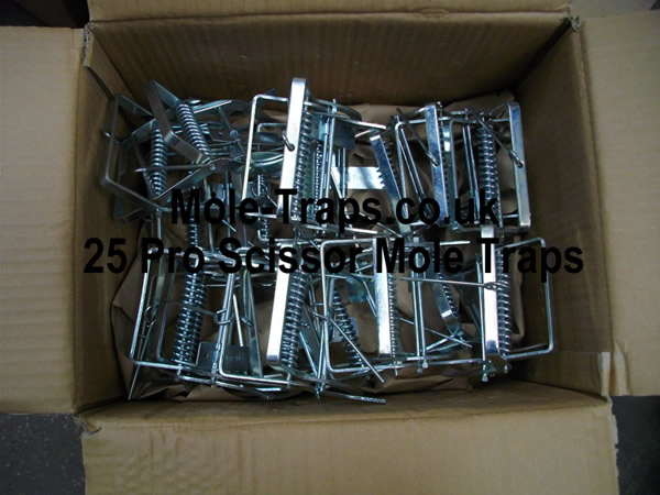 Twenty Five Talpex Style Mole Traps for &pound;126.99 inc. England & Wales delivery 